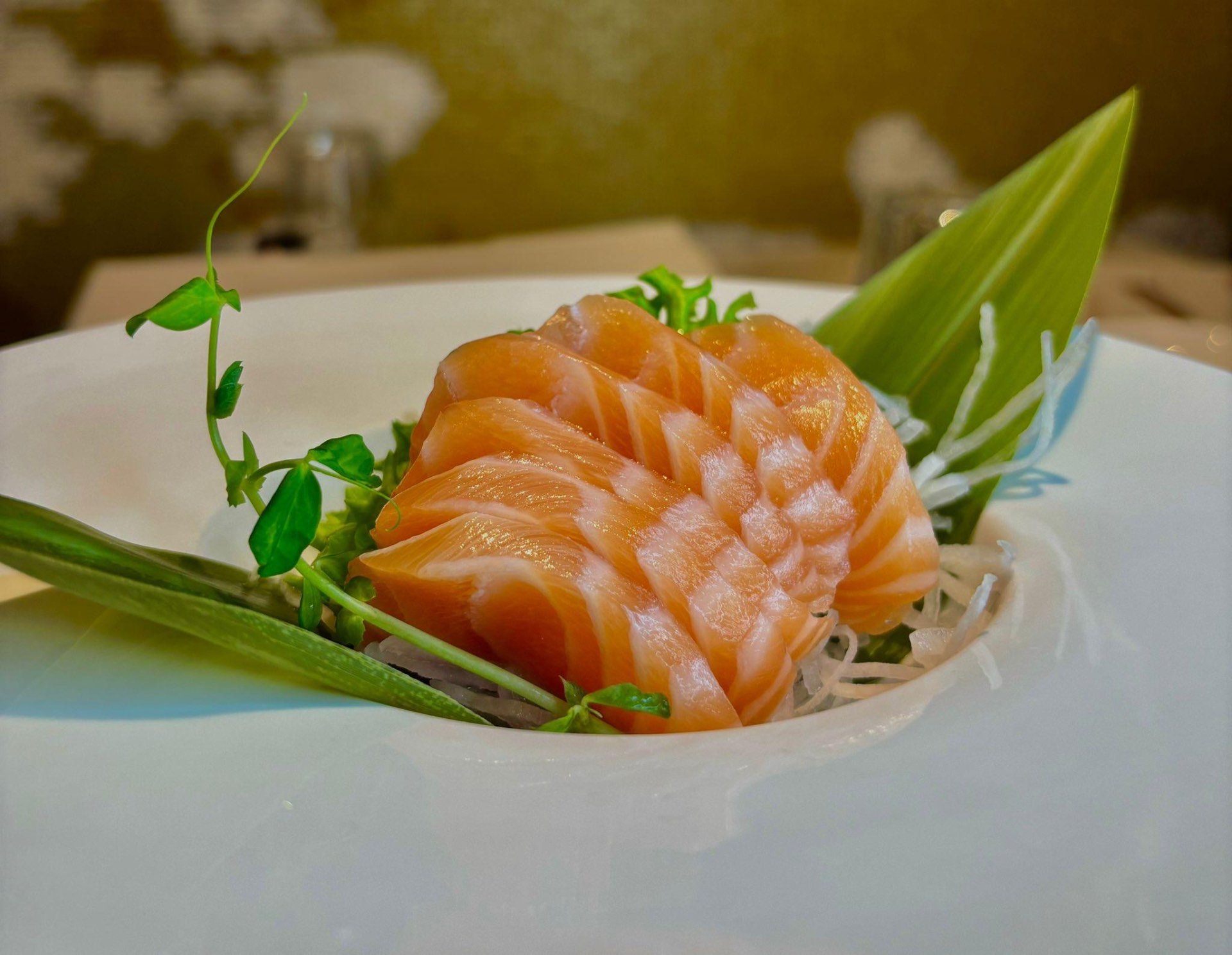 Sashimi di salmone fresco con foglia di bambù