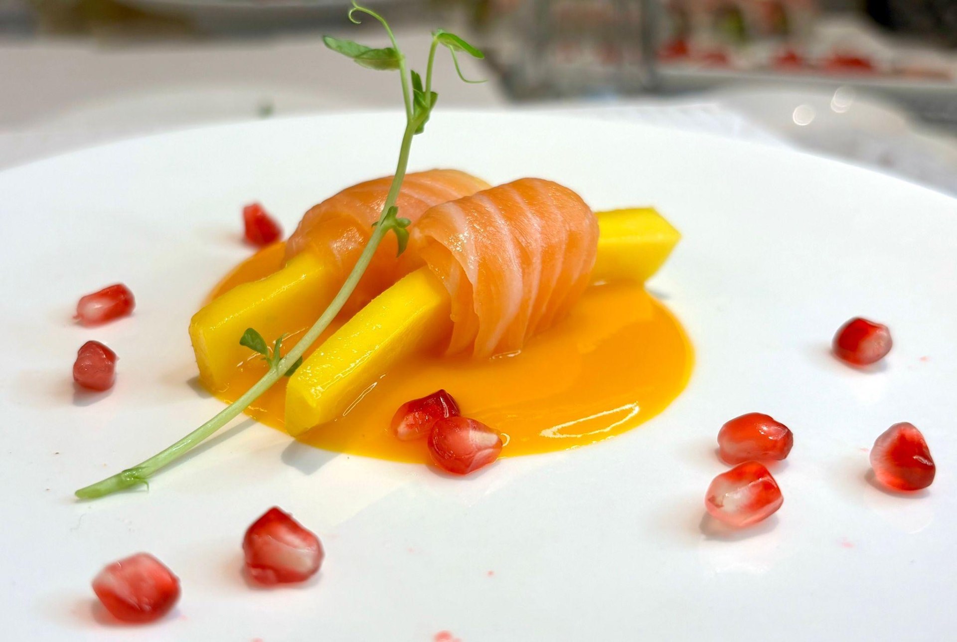 Salmone arrotolato con mango e melagrana